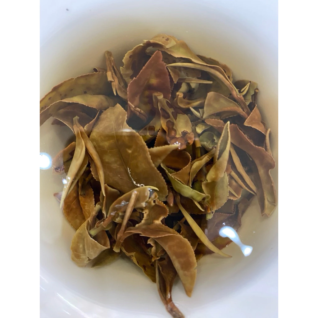 有機紅韻白茶（臺茶21）