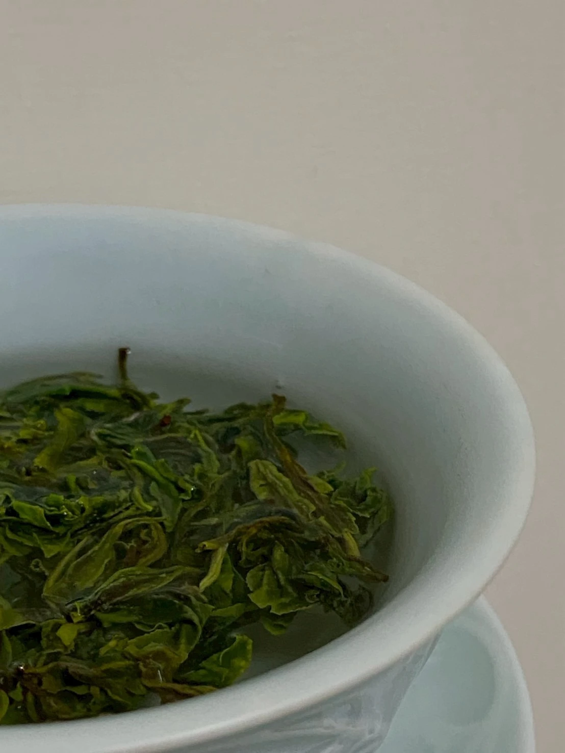 明前碧 羅 春綠茶