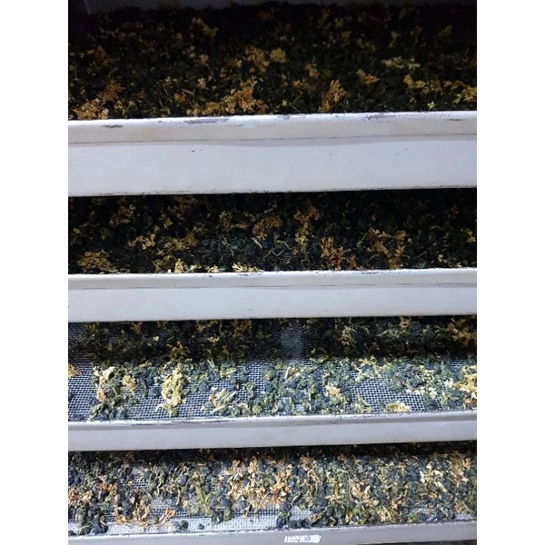 杉林溪桂花高山烏龍茶