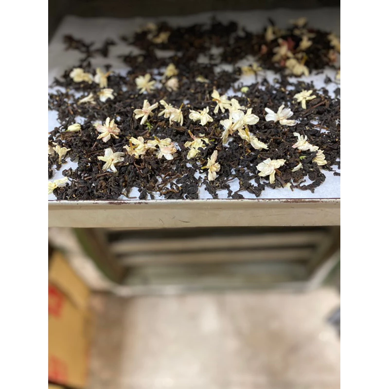 茉莉花不知春茶
