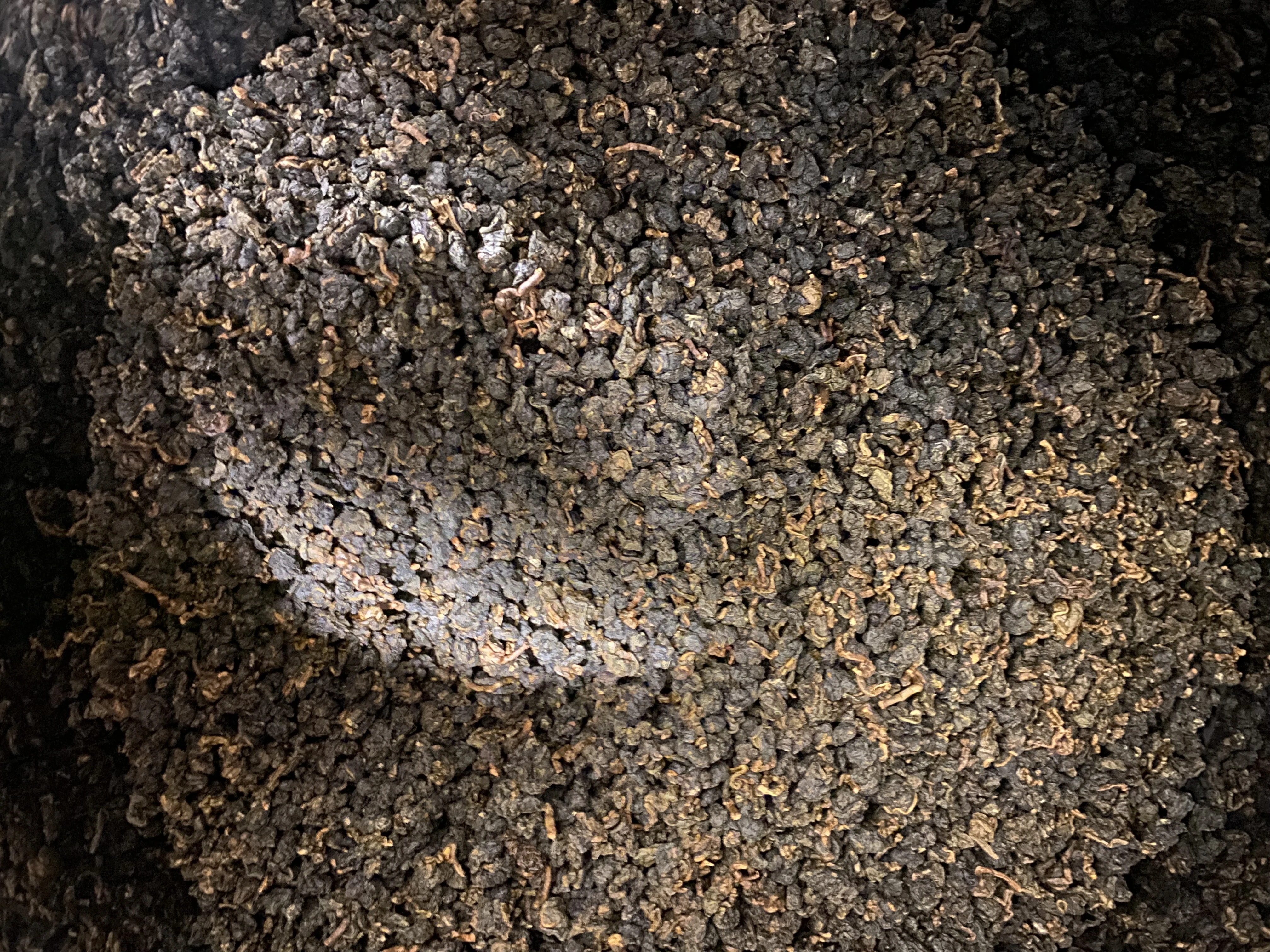 紅香高山 烏龍 老茶