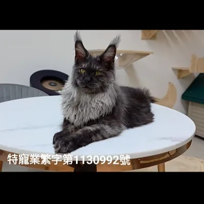 黑夜裡最柔軟的星光。