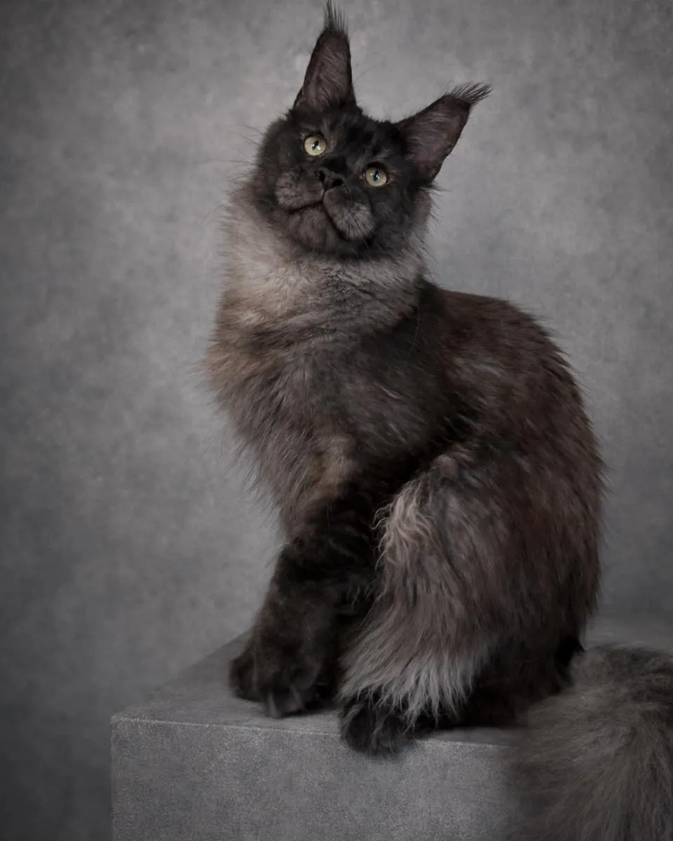 開工大吉 持續用心做好每一件事