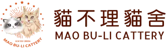 貓不理貓舍-緬因貓,緬因貓買賣,緬因貓舍,高雄緬因貓,高雄緬因貓買賣,高雄緬因貓舍