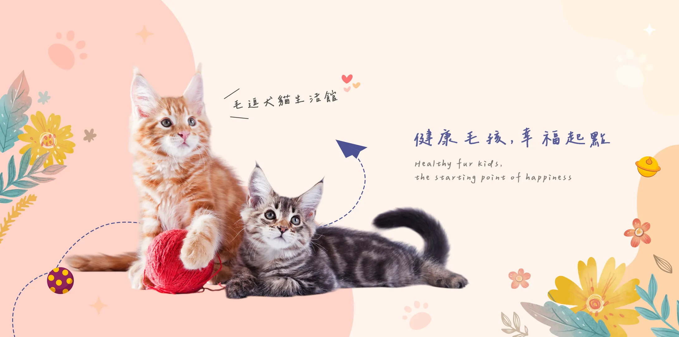 毛逗犬貓生活館-犬舍,貓舍,桃園犬舍,八德貓舍