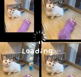 曼斥肯