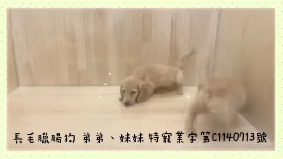 奶油臘腸