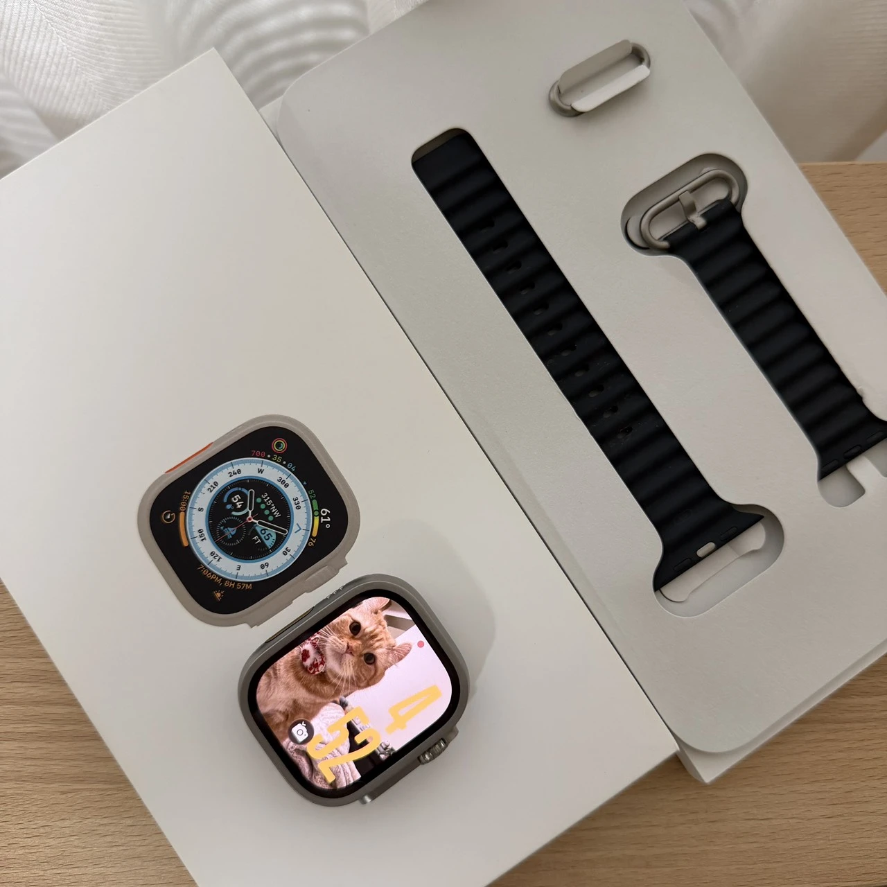 台中 Apple Watch Ultra 1代 49mm LTE A2684 鈦金屬錶殼 海洋風錶帶 電池100! 外觀很新!