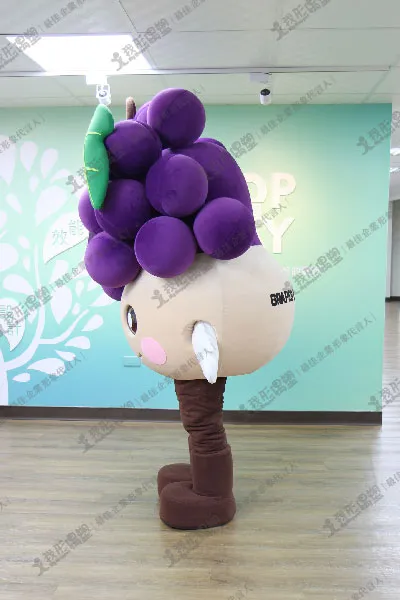 加州葡萄 紫葡萄寶寶