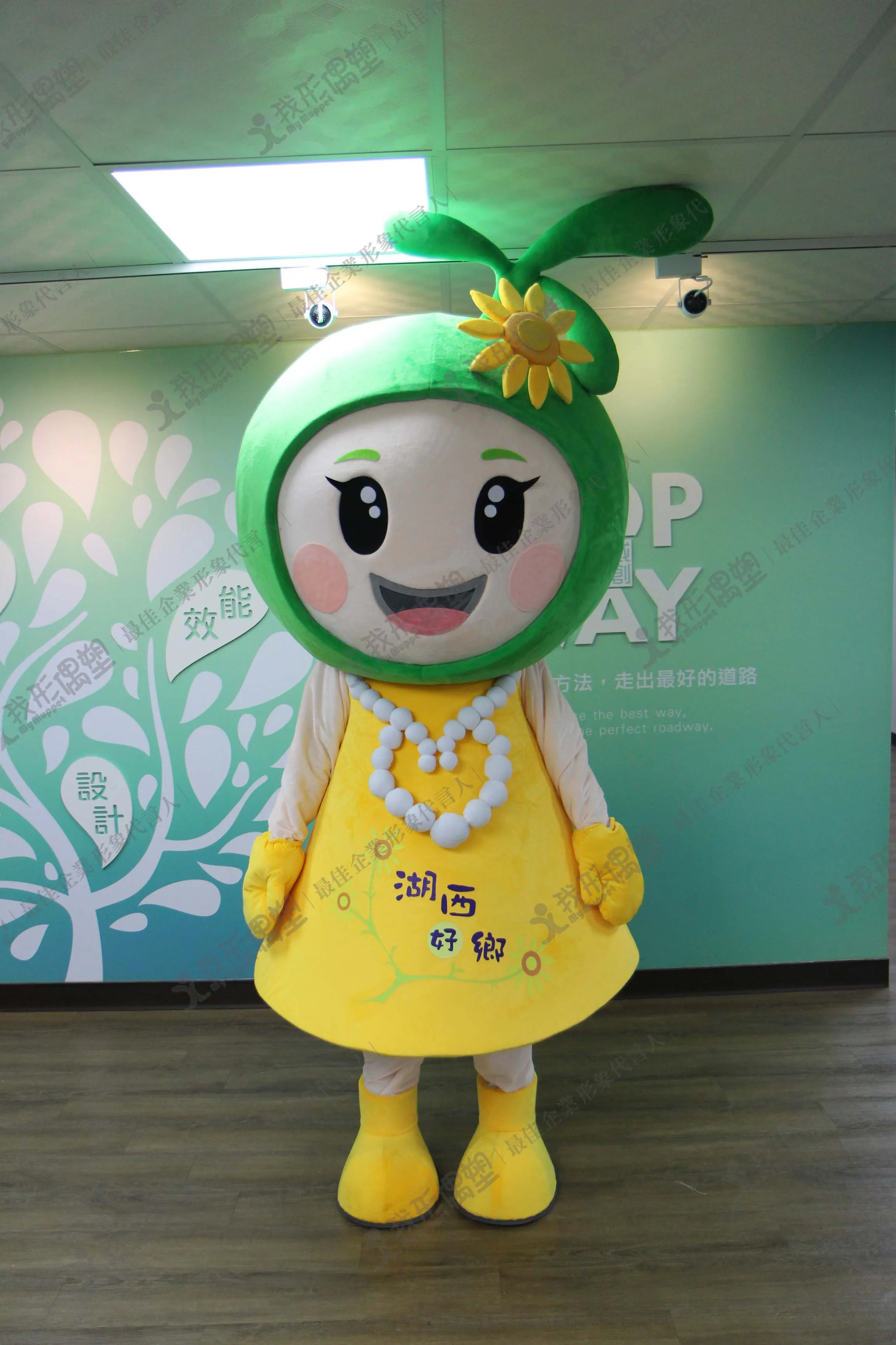 澎湖縣湖西鄉公所-風菇