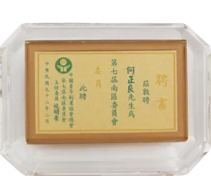 中國青年創業協會總會-第七屆南區委員會委員聘書