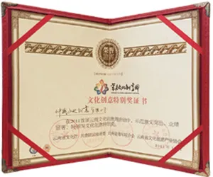 雲南文化創意週 文化創意特別獎證書