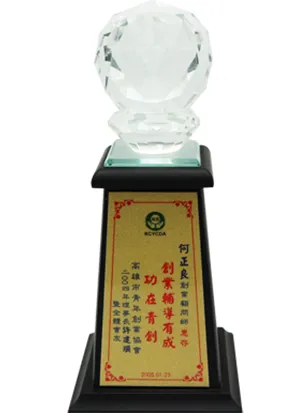 高雄市青年創業協會-輔導績優獎