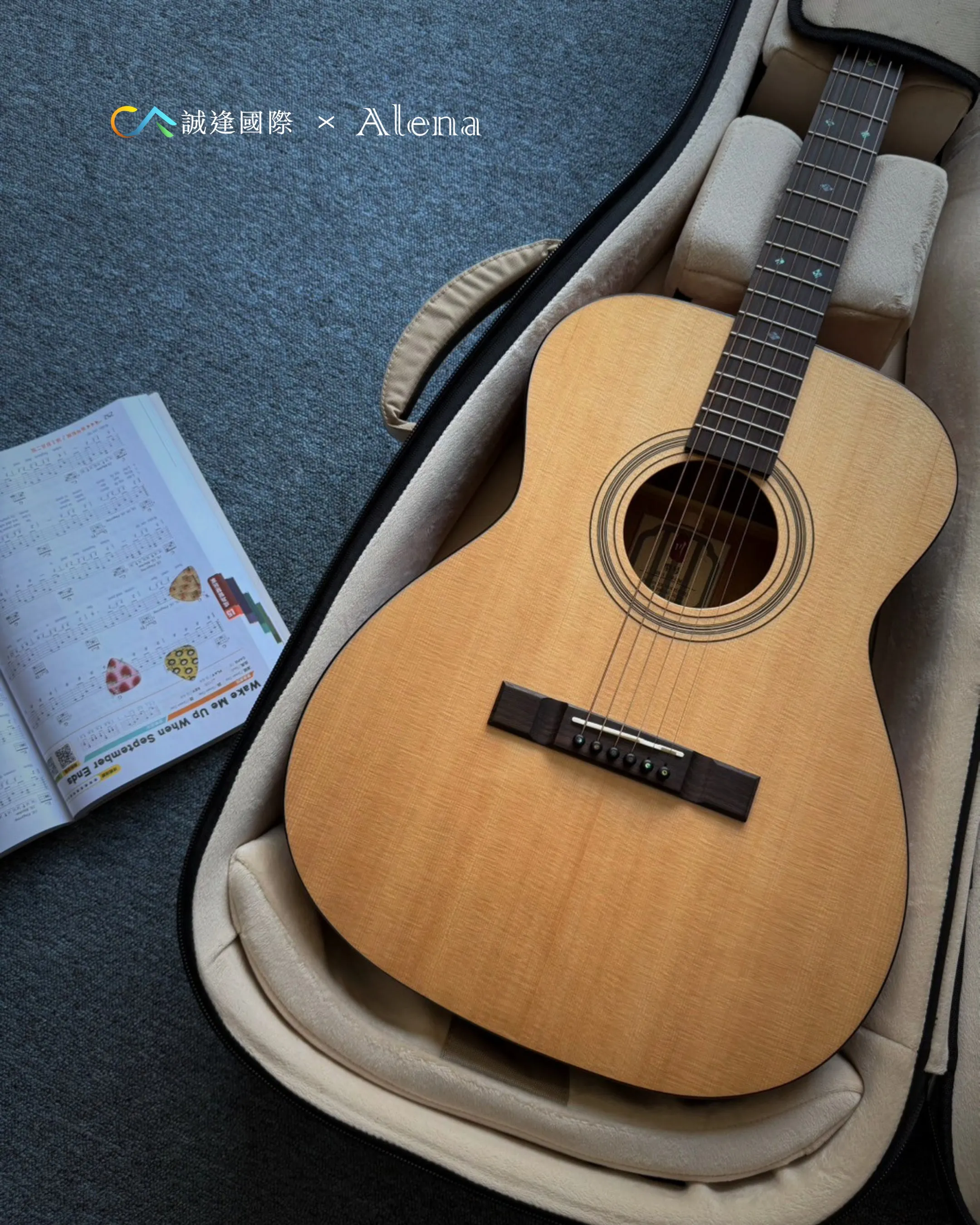 Alena YH9000-D 民謠吉他厚袋