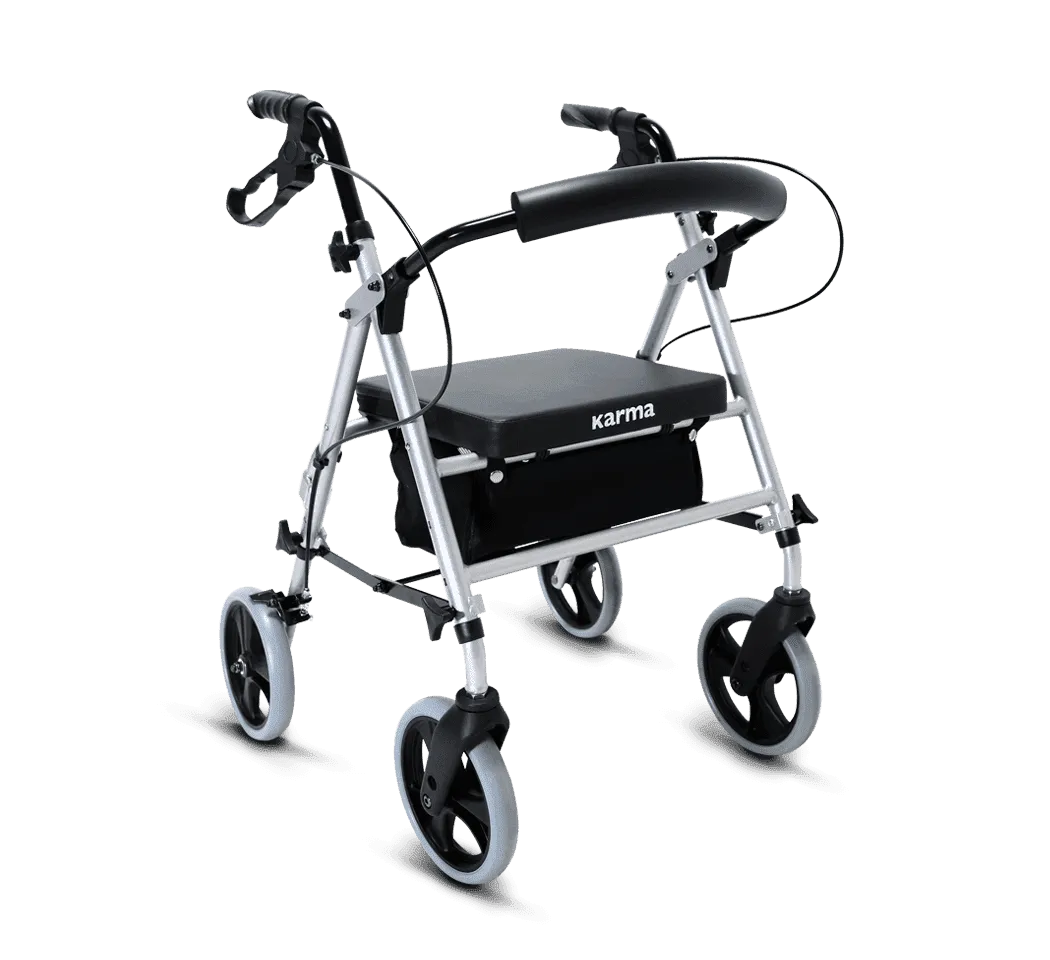 輕鬆行 100 EZ Walker 100