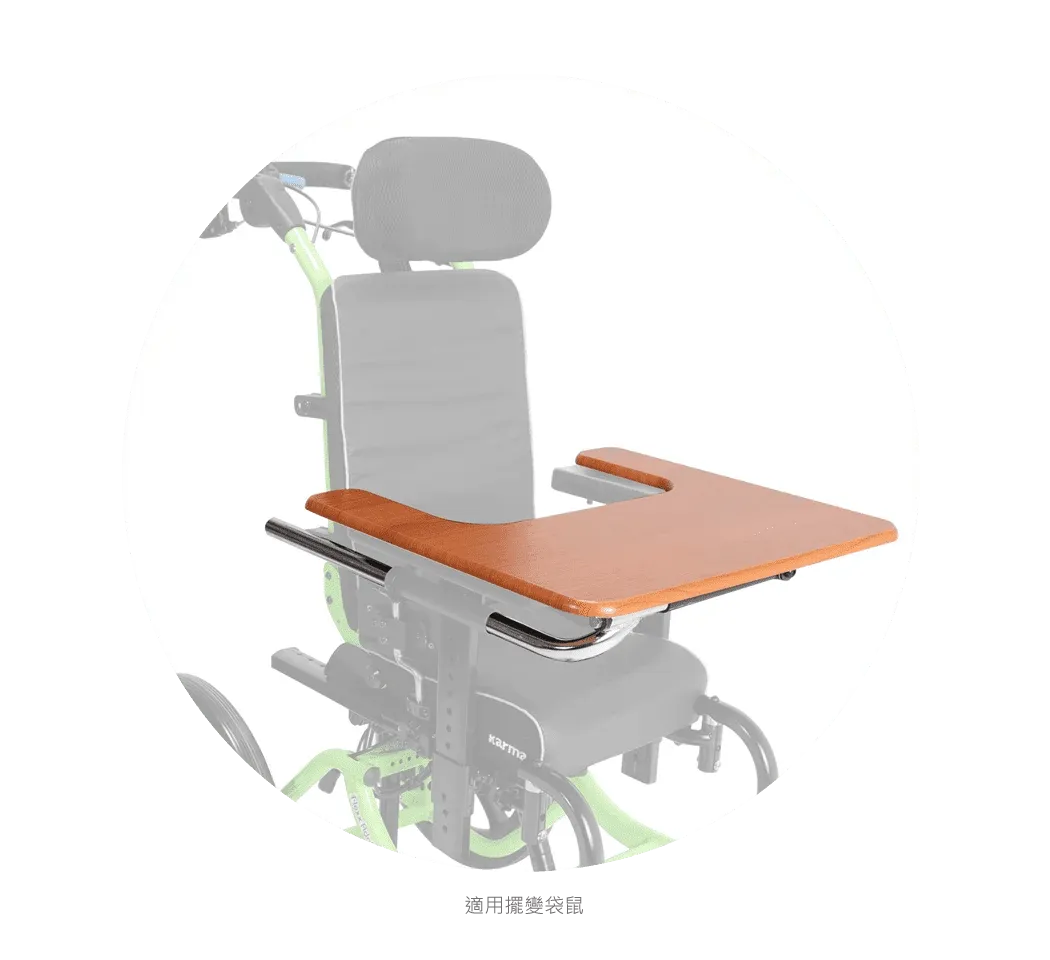 木質桌板 Plywood Tray Table