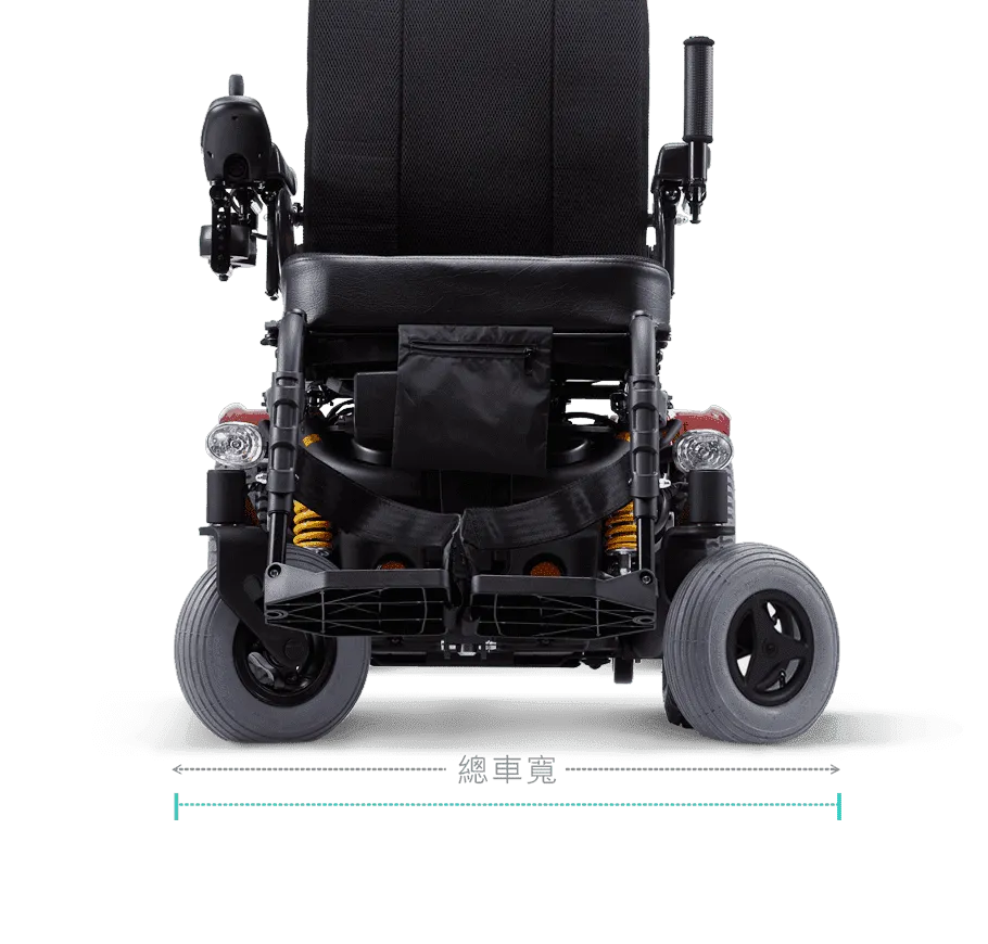 Leon天王獅標準椅 LEN-SLN