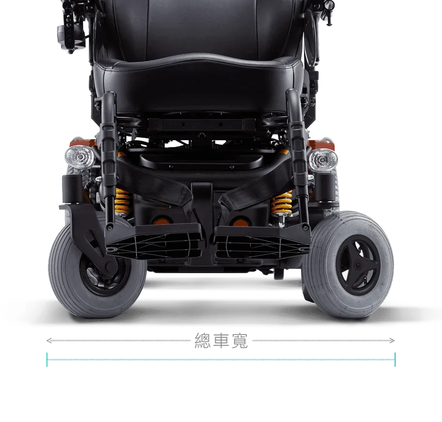 Leon天王獅沙發椅 LEN-CPT