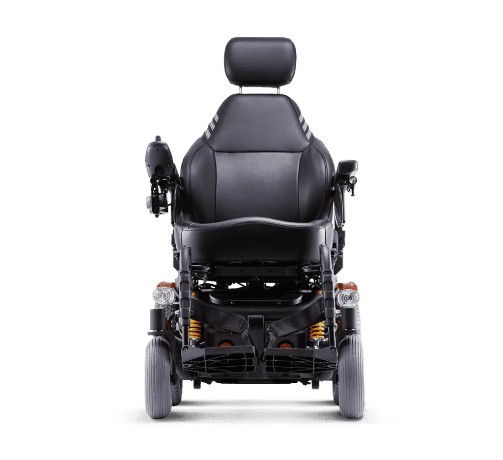 Leon天王獅沙發椅 LEN-CPT