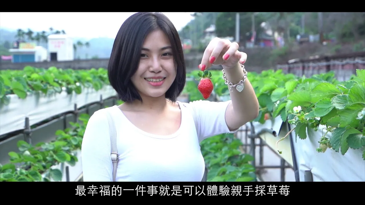 苗栗觀光局 浪漫臺三線