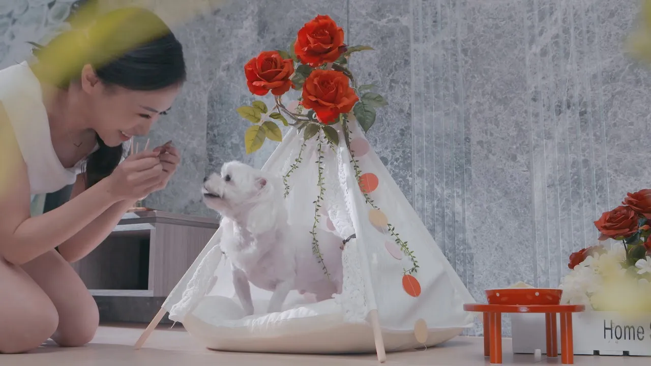 小家人篇 深耕動物森林園區