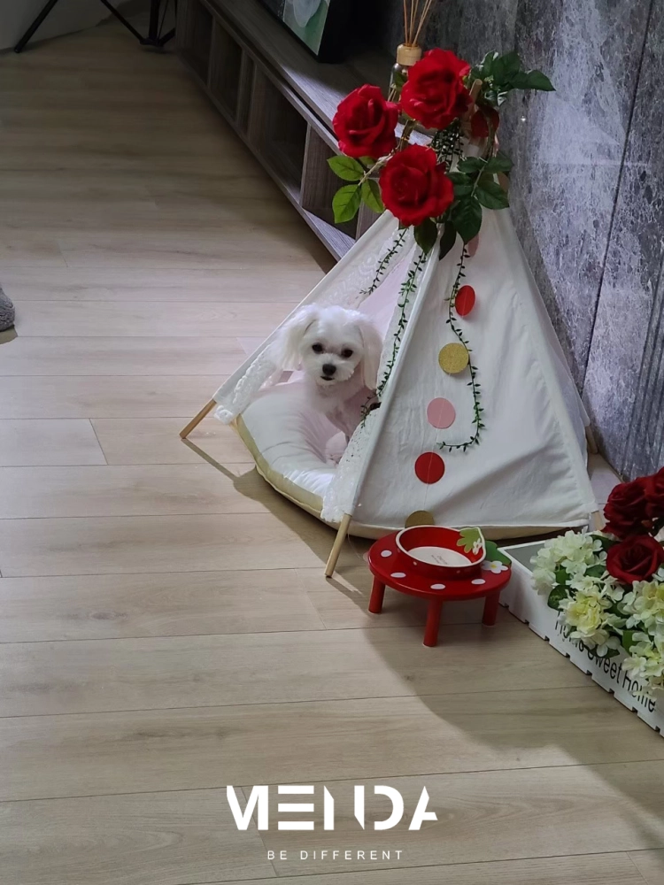 寵物森林園區廣告拍攝