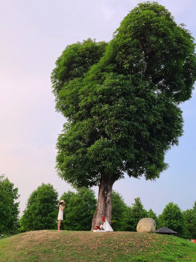寵物森林園區廣告拍攝