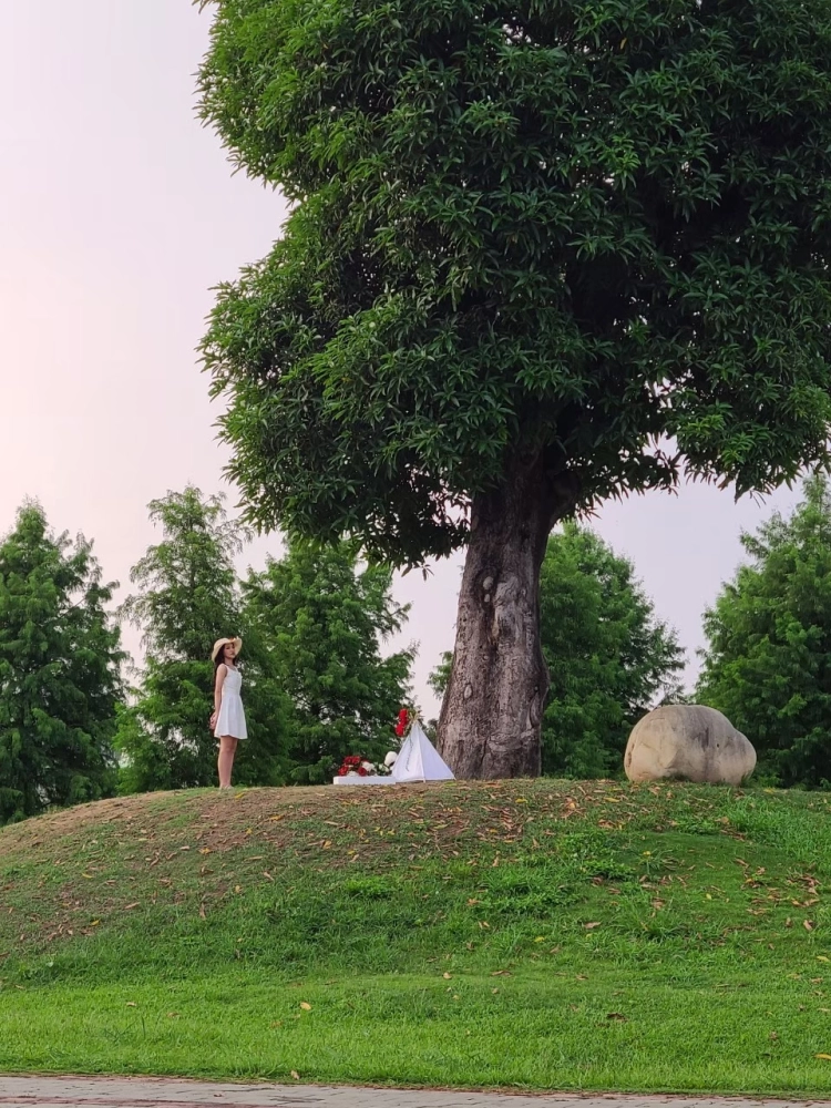 寵物森林園區廣告拍攝