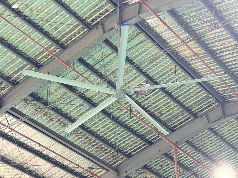 桃園中壢-新廠預先規劃