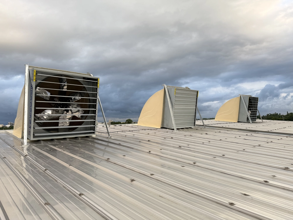 雲林斗南-汽車廠