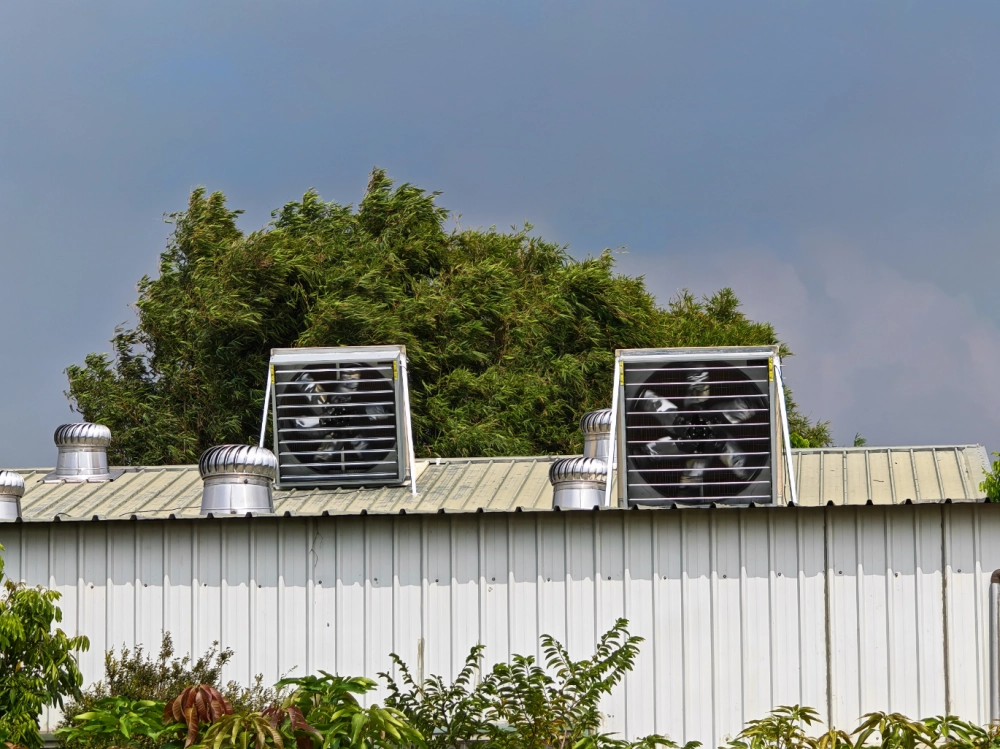 台南新化裝潢廠房