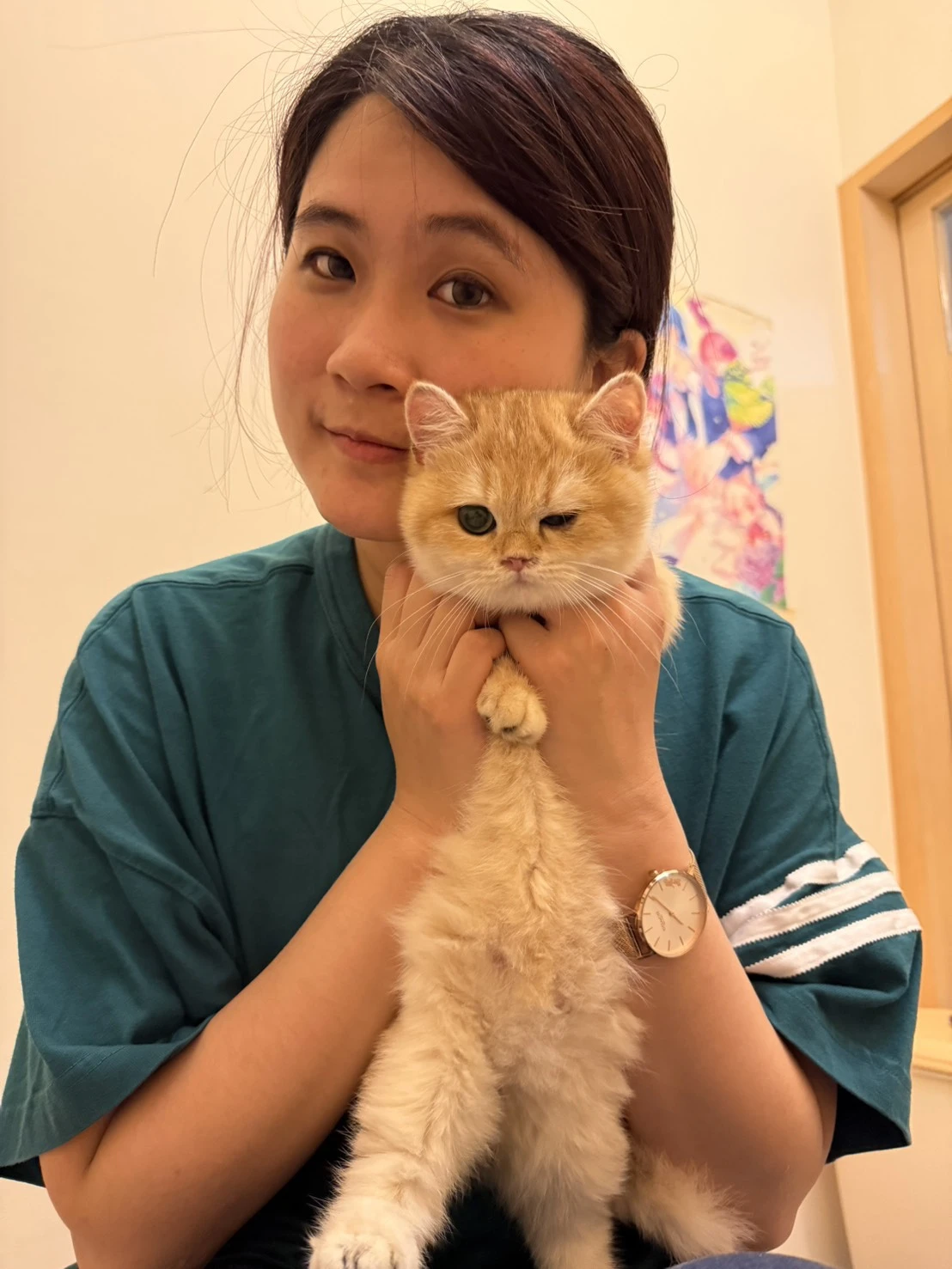 家長分享｜高雄貓舍