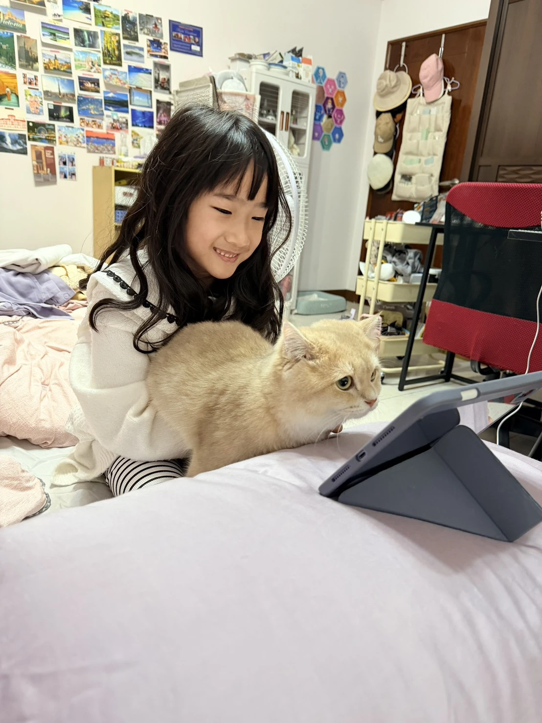 家長分享｜高雄貓舍