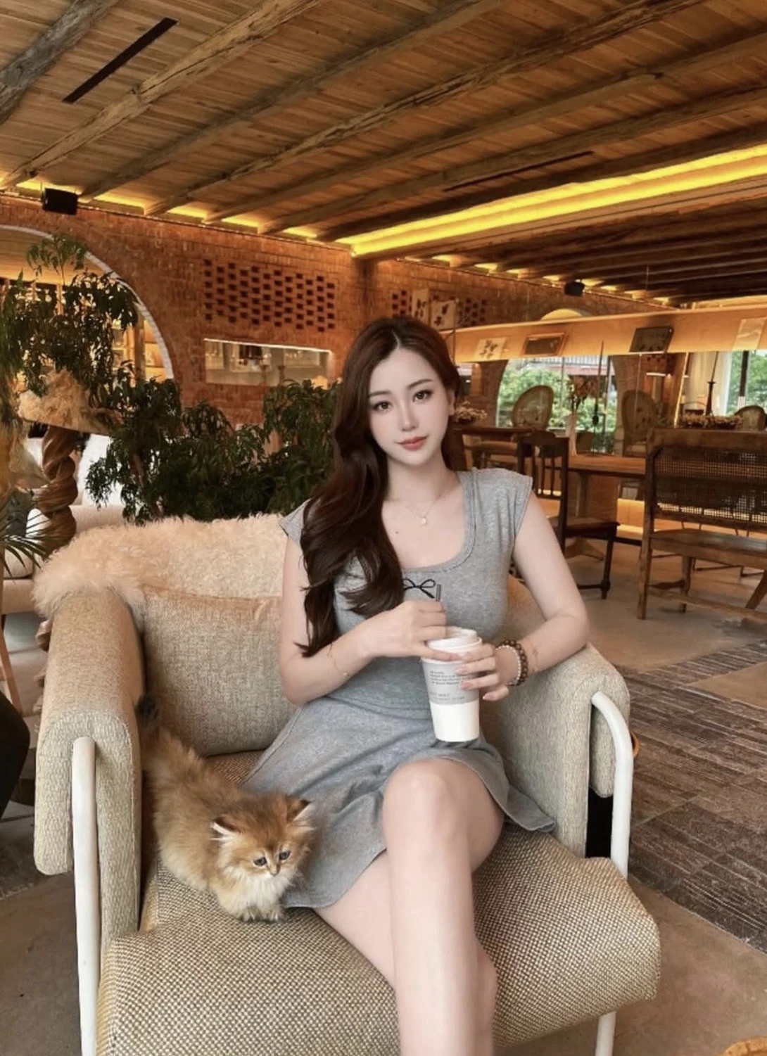 家長分享｜高雄貓舍