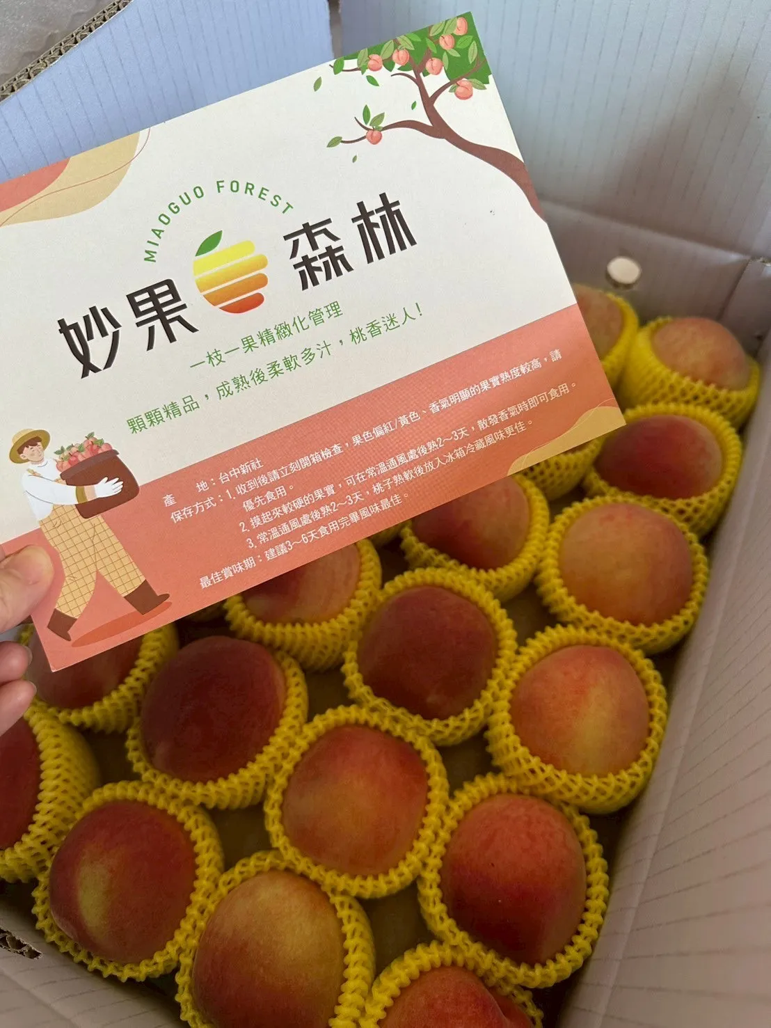 水蜜桃禮盒~中秋送禮~年節送禮