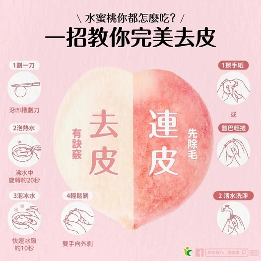 水蜜桃你都怎麼吃？