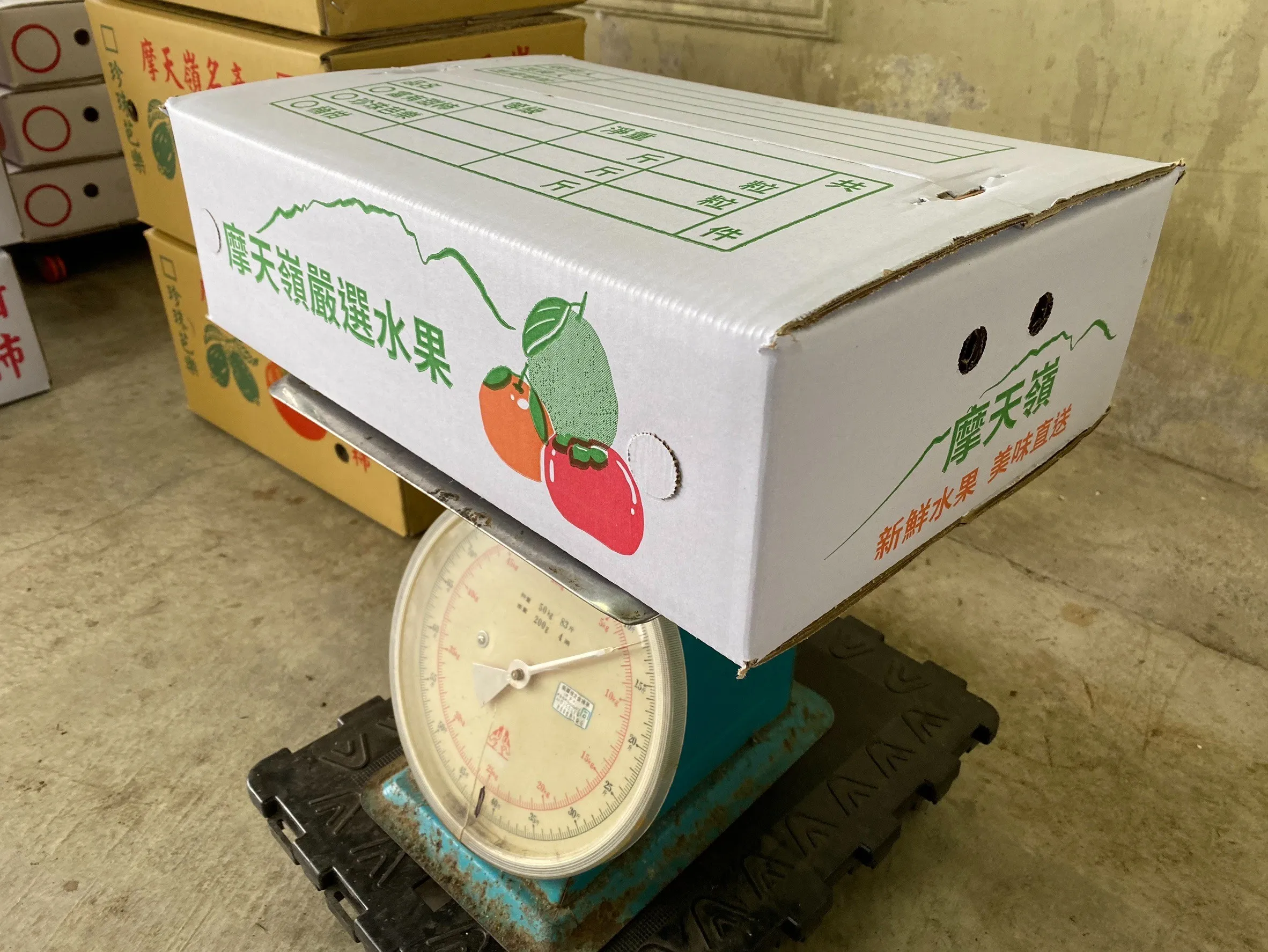 【摩天嶺】高山珍珠芭樂10台斤