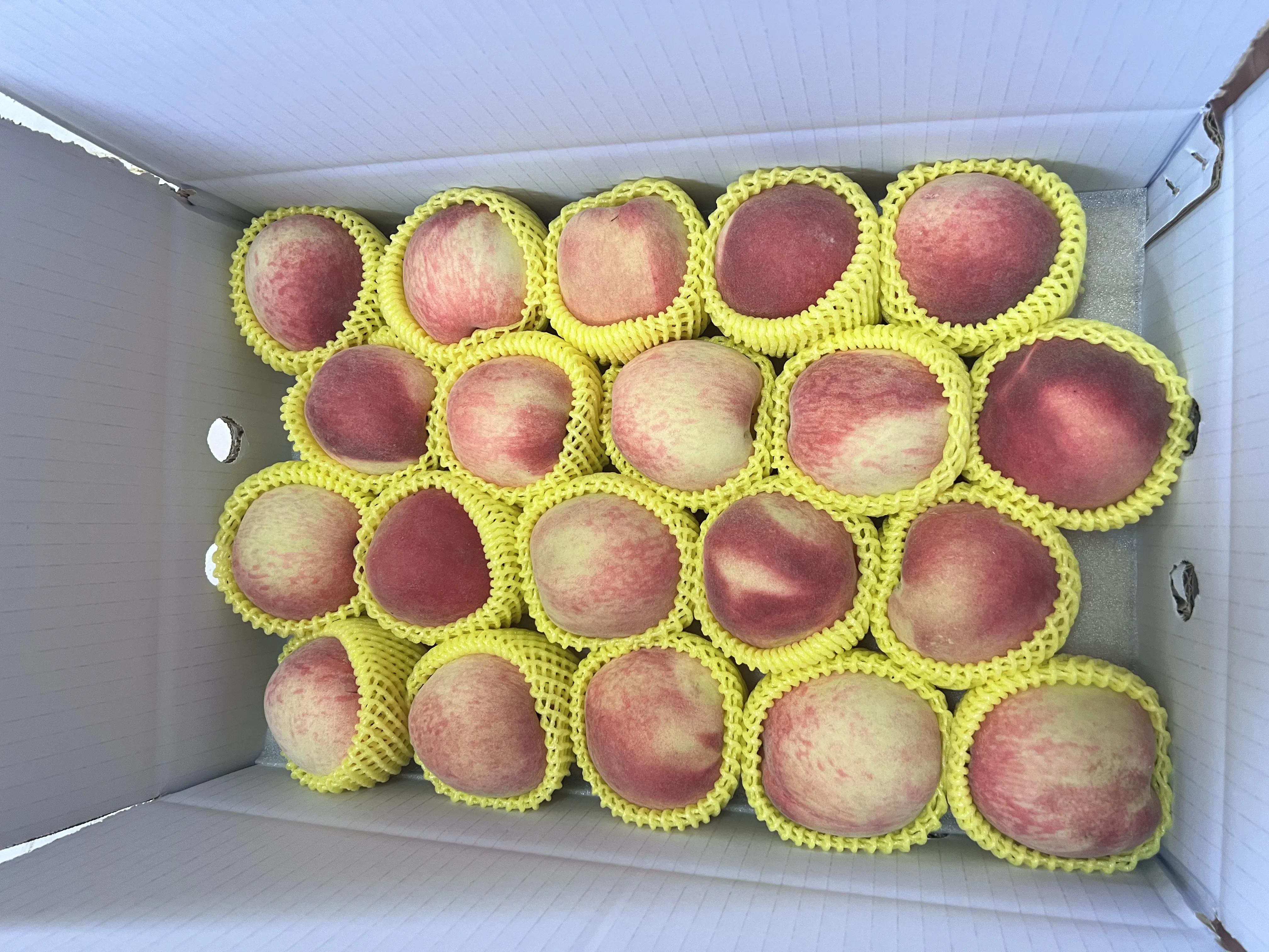 水蜜桃分享箱6A/20顆裝