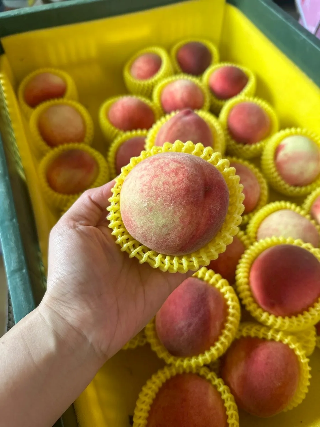 水蜜桃分享箱6A/20顆裝