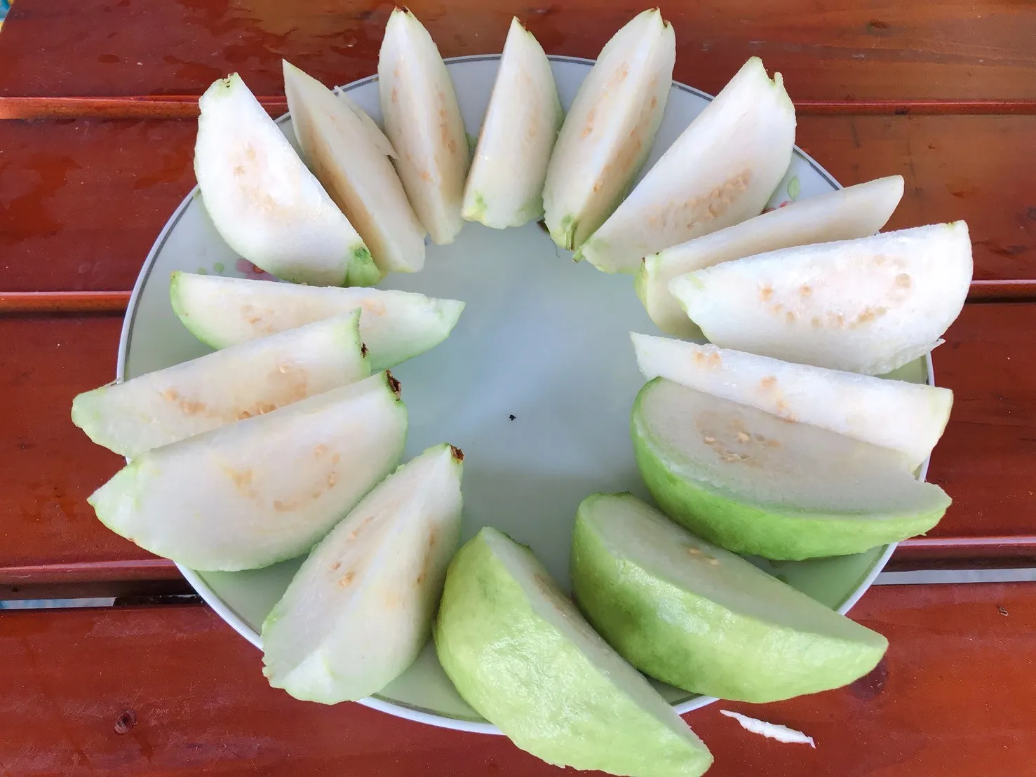 【摩天嶺】高山珍珠芭樂10台斤