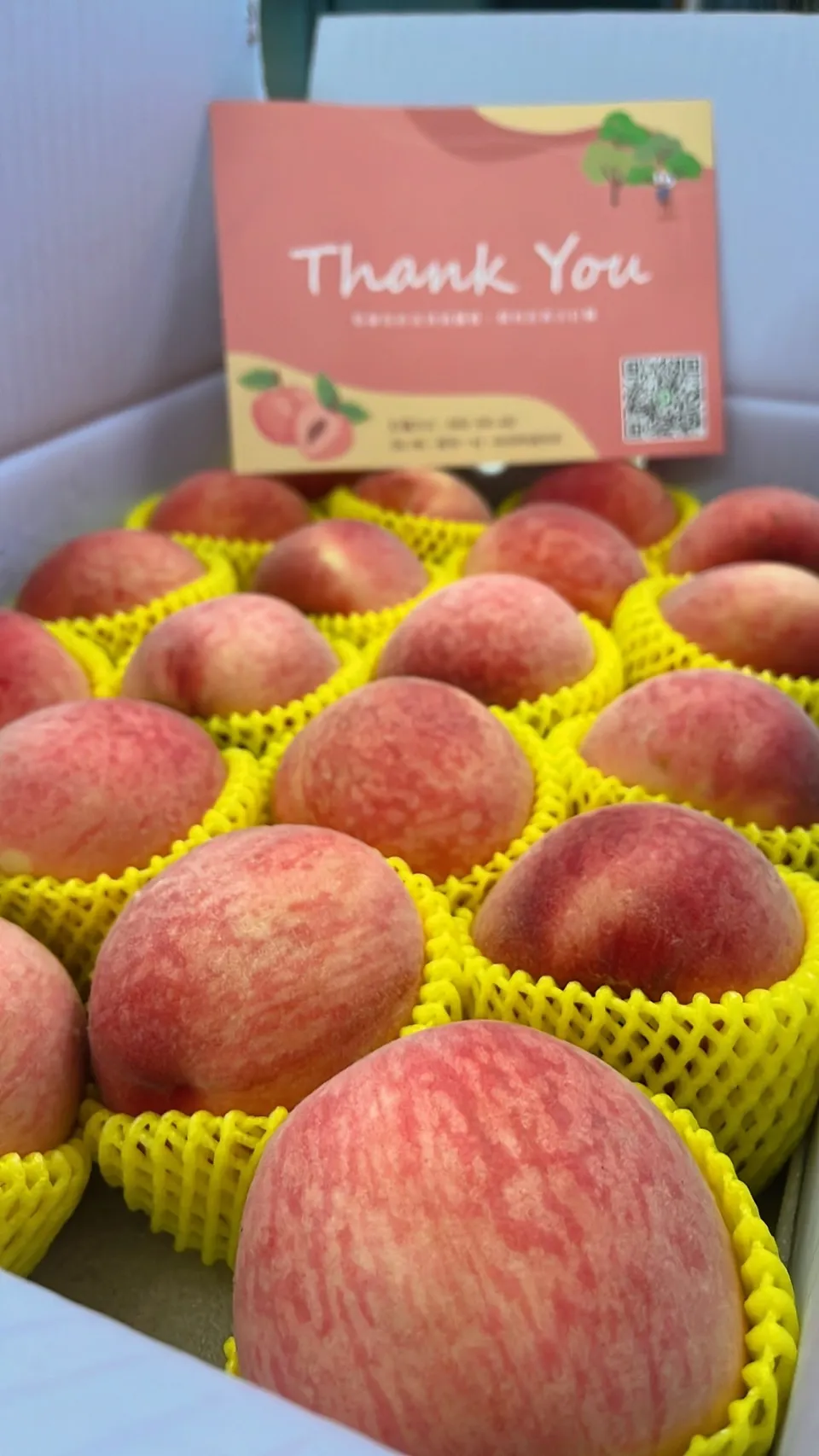 水蜜桃分享箱5A/22顆裝