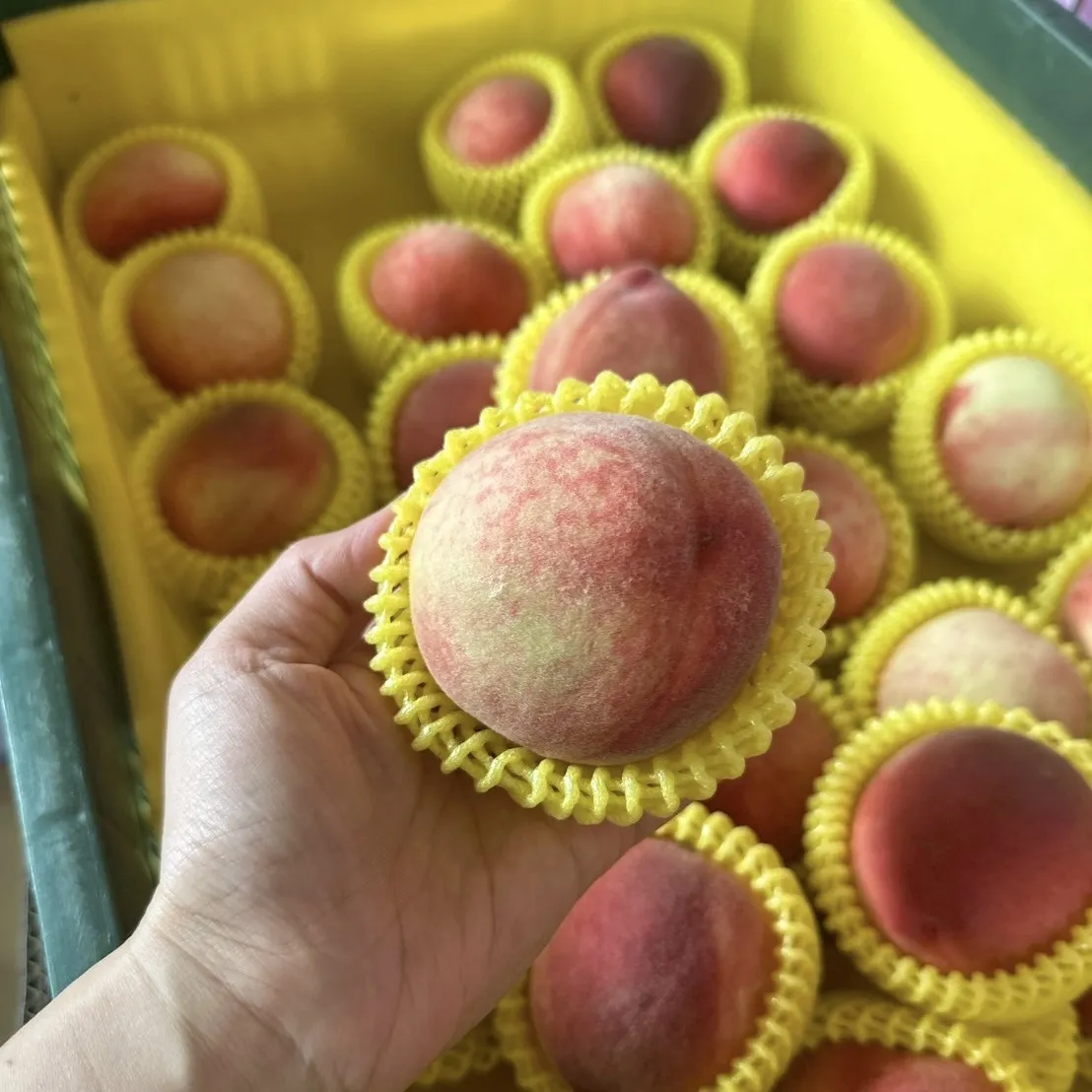 水蜜桃禮盒6A/8顆裝