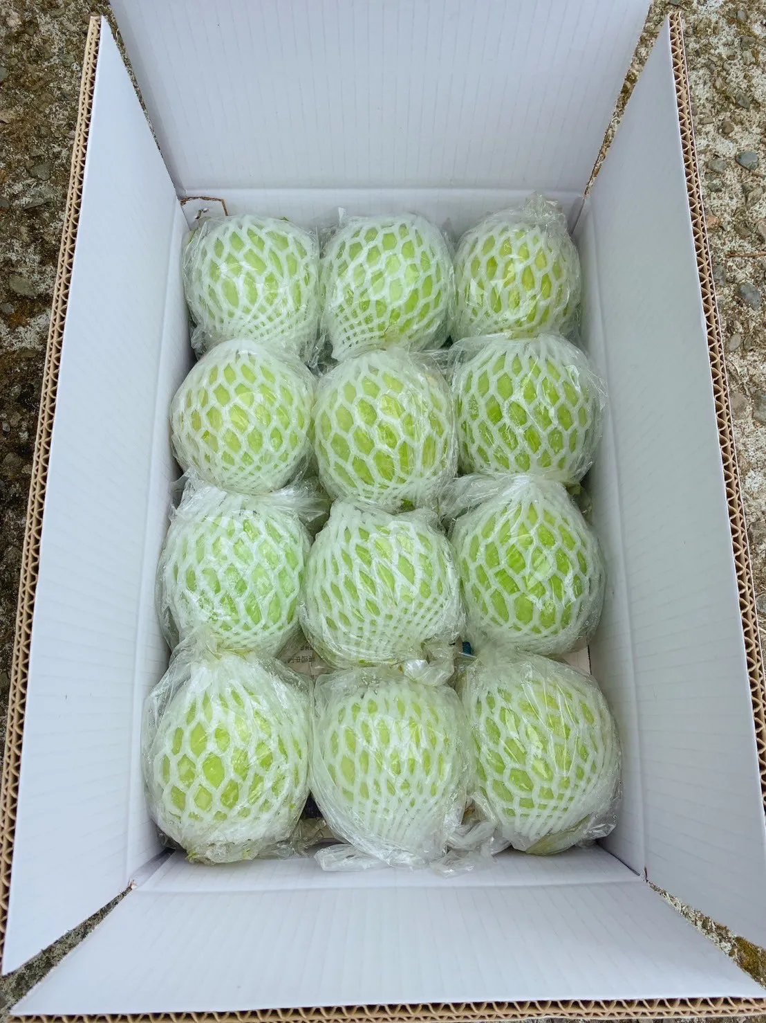 【摩天嶺】高山珍珠芭樂10台斤