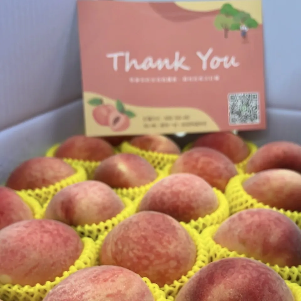 水蜜桃禮盒6A/8顆裝