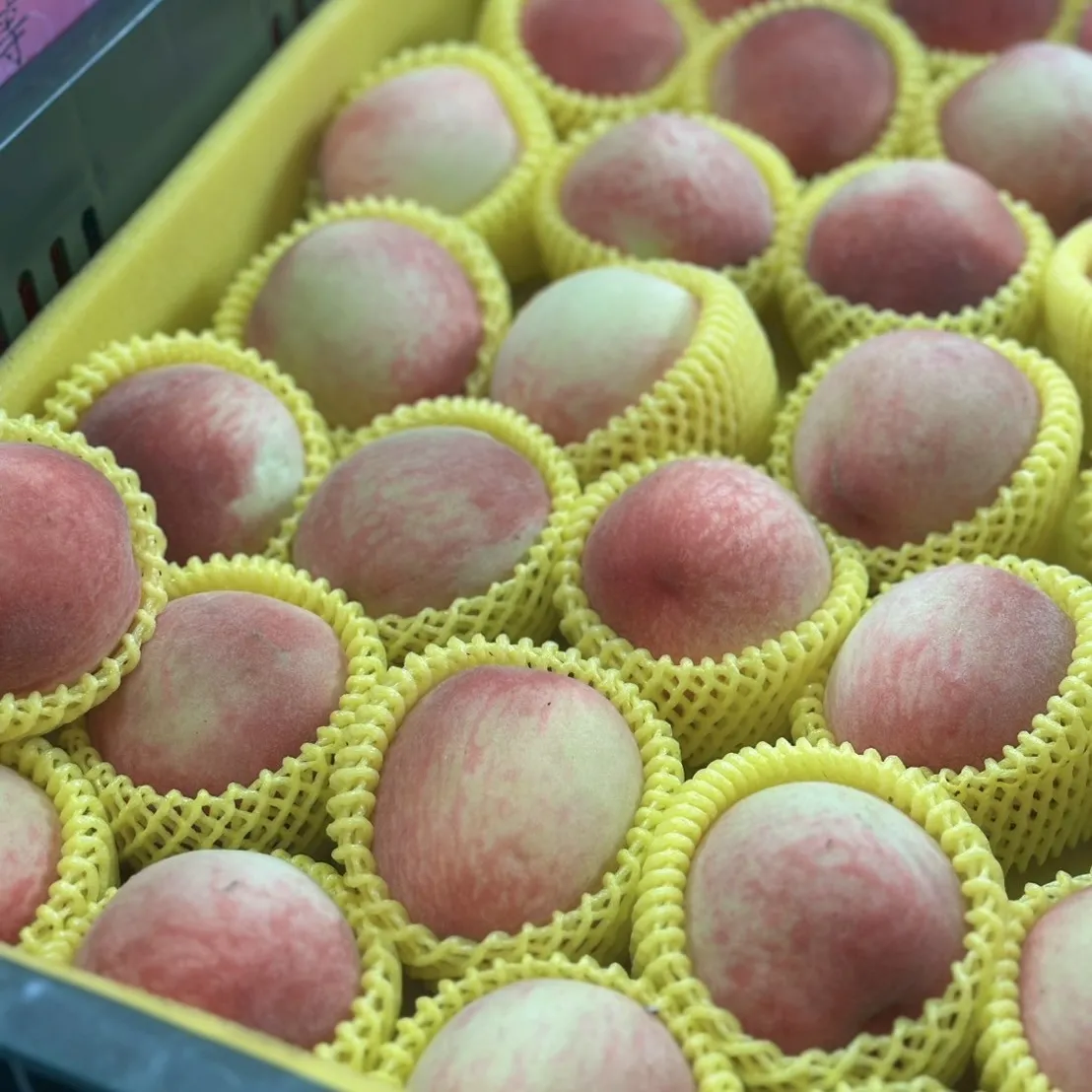 水蜜桃禮盒4A/10顆裝