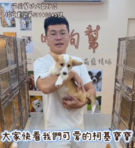 小短腿的無敵魅力