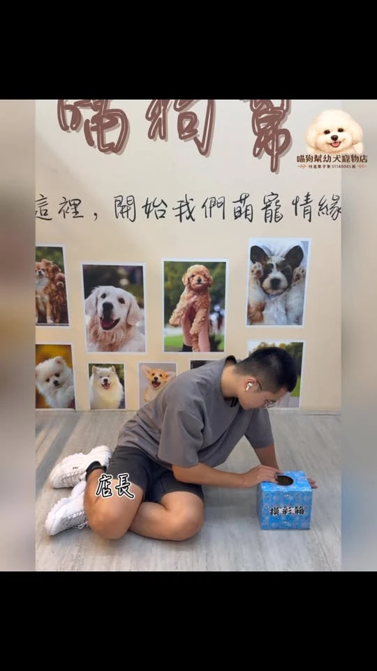 老闆真的瘋了嗎？！