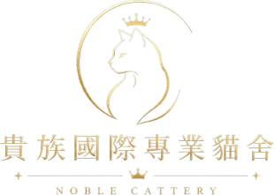 貴族國際專業貓舍-英短貓舍,英短貓舍推薦,台北英短貓舍,三重區英短貓舍,