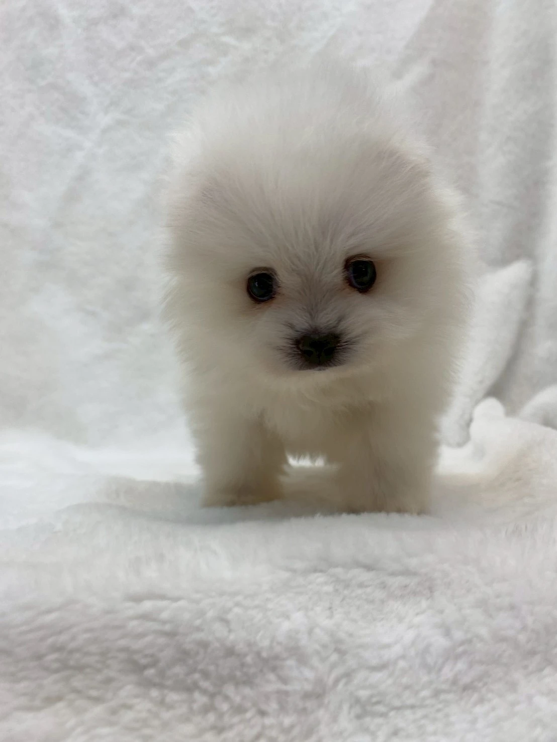 B516