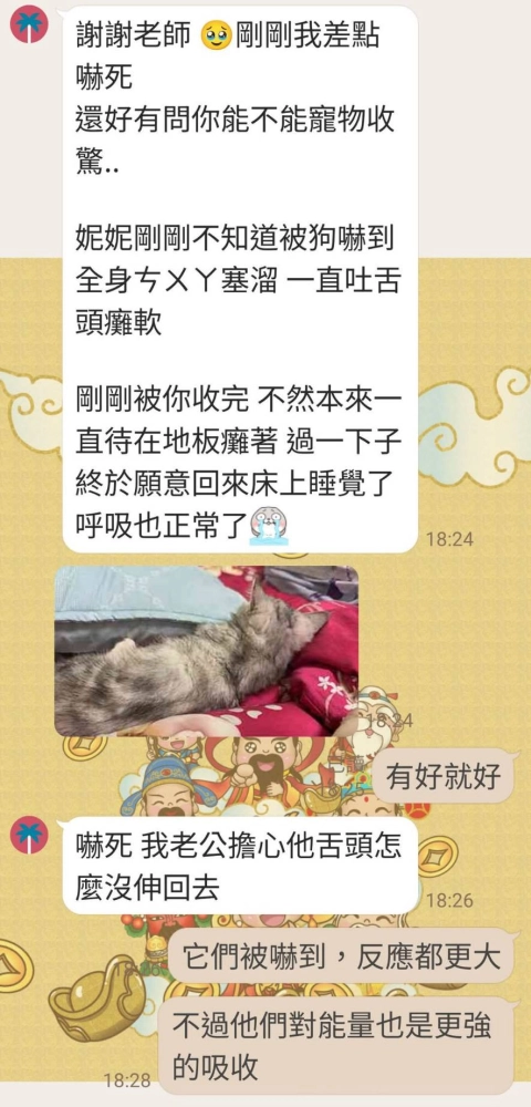 寵物收驚
